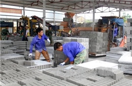 Thúc đẩy sử dụng vật liệu xây không nung tại Việt Nam 